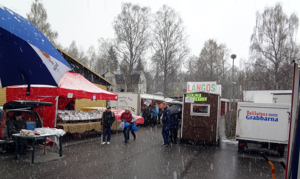 Holmsjö Marknad i hagel