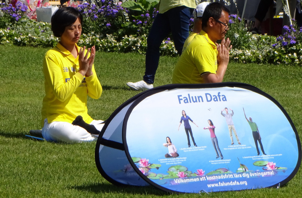 "Falun Gong" i Hoglands park